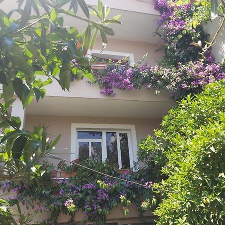 Flowers Guesthouse 티라나 외부 사진