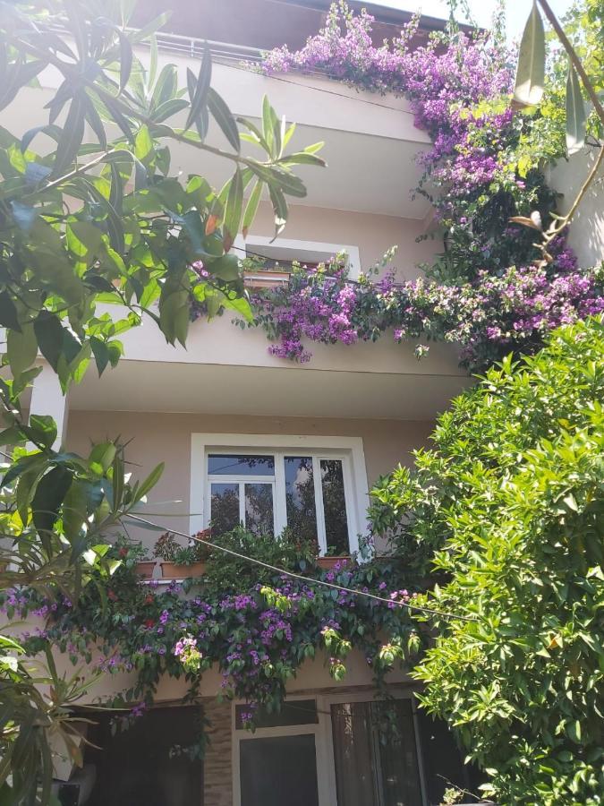 Flowers Guesthouse 티라나 외부 사진