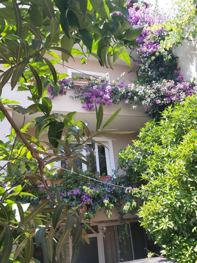 Flowers Guesthouse 티라나 외부 사진
