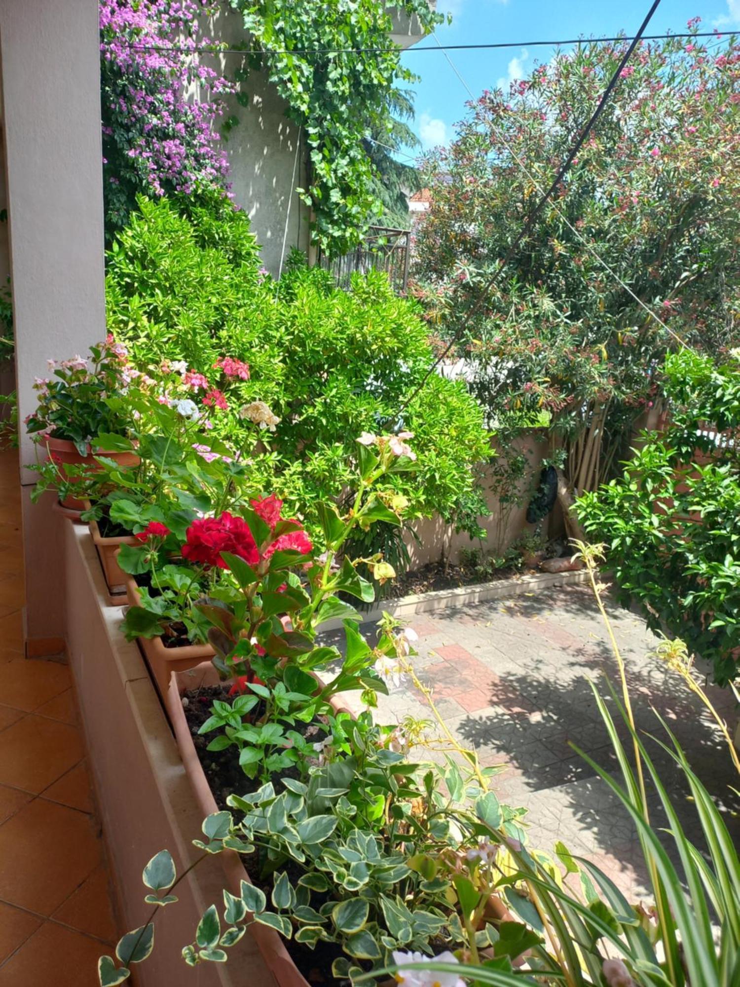 Flowers Guesthouse 티라나 외부 사진