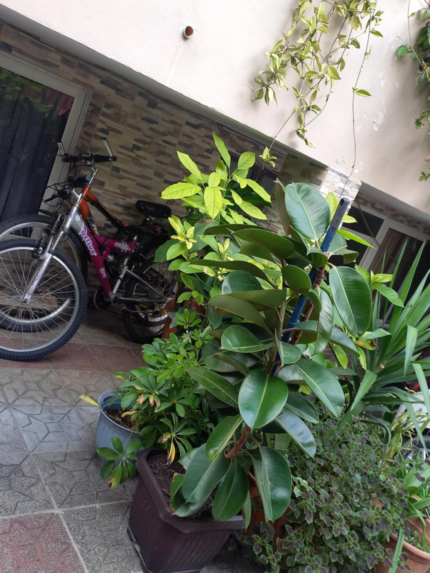 Flowers Guesthouse 티라나 외부 사진